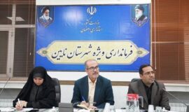 ورود طرح‌های نوین بازآفرینی به نایین