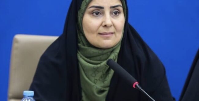 بستر مناسب برای افراد دارای معلولیت در جامعه ایجاد می شود