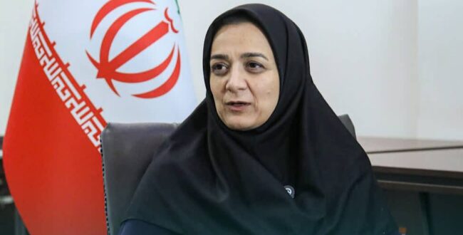 دستورالعمل ملی مقاومسازی راه و ریل در برابر فرونشست